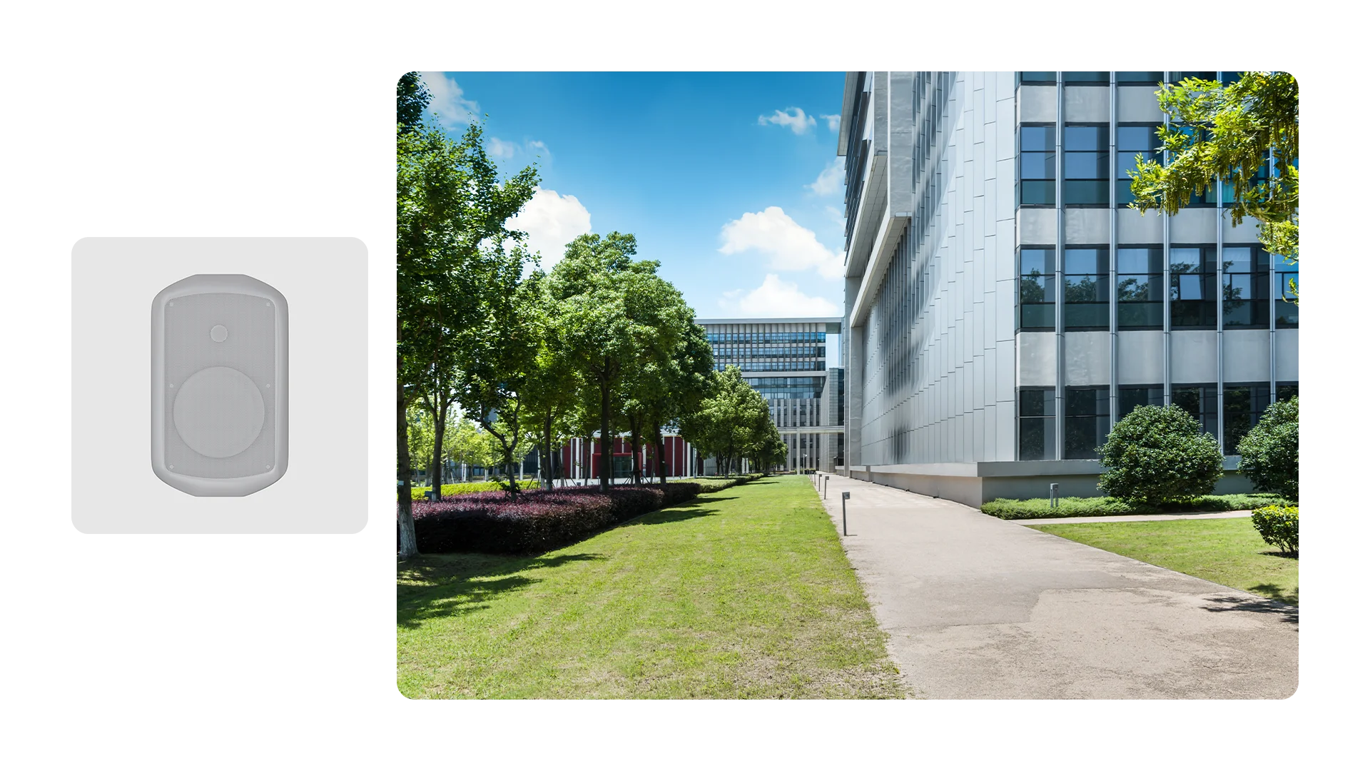 MS 50-165 T-EN54_Contesti02